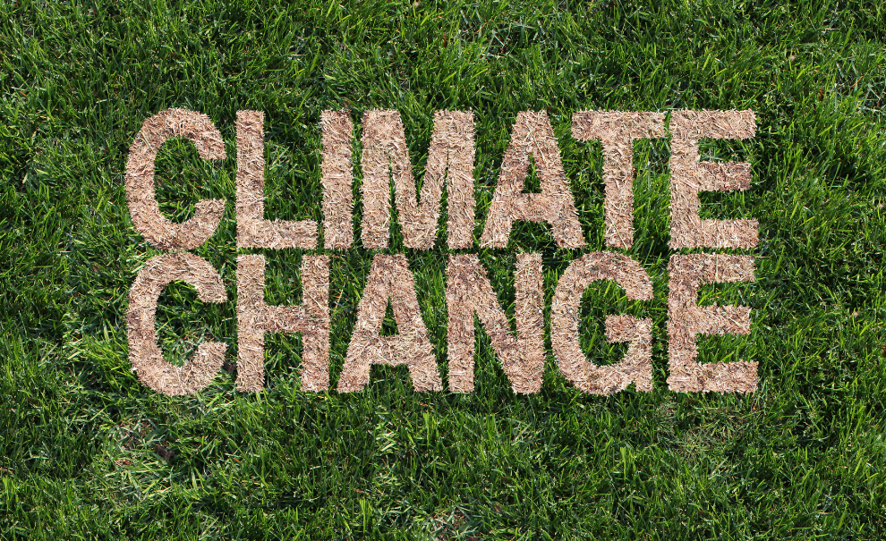 image of grass and text saying climate change